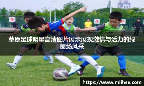 草原足球明星高清图片展示展现激情与活力的绿茵场风采